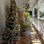 noel-guadeloupe