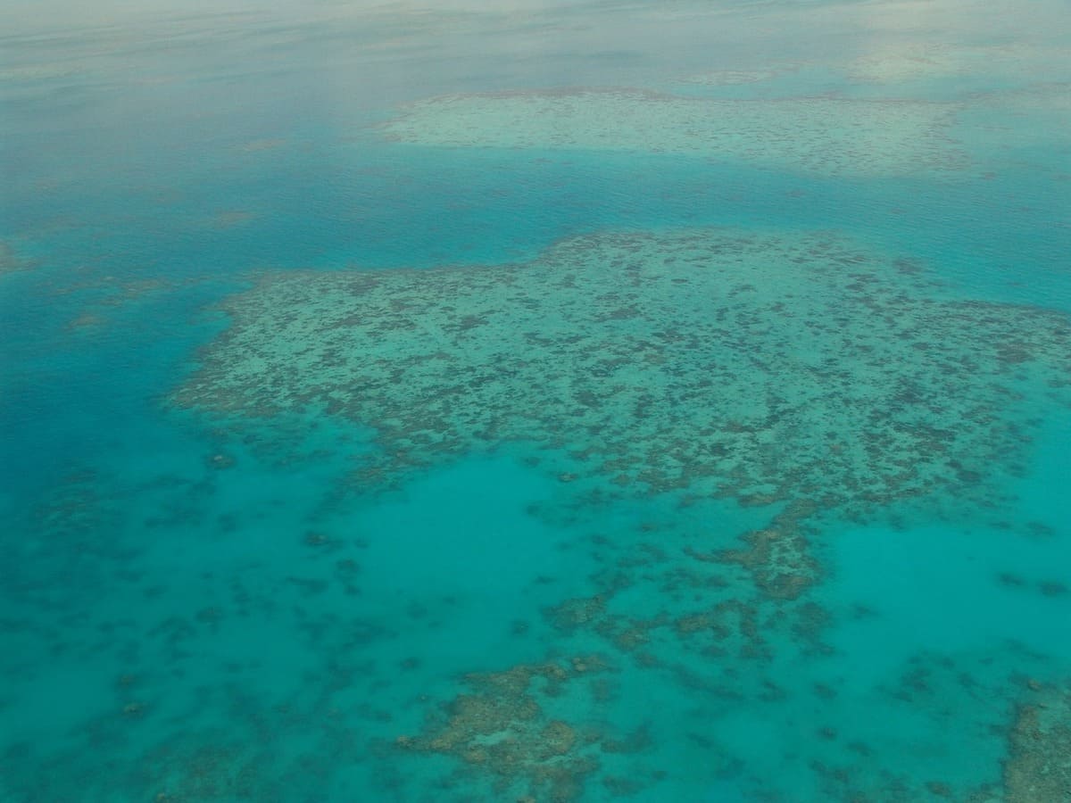 La grande barrière de corail se voit depuis l'espace !